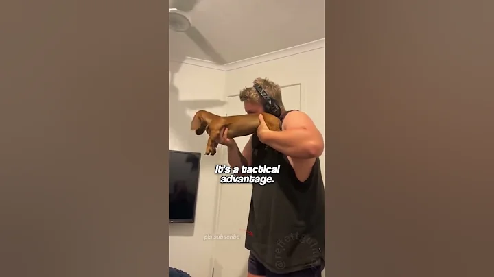 The truth about Dachshunds #dogs #pets #dachshund Hit Like if you love Dachshunds!