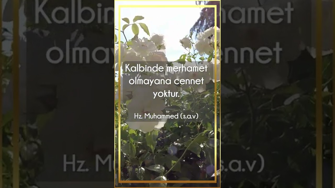 Hayırlı Akşamlar / Rahim Allah Hu Allah Kerim Allah Hu Allah İki Cihan Güneşi Sensin Ya Resulallah