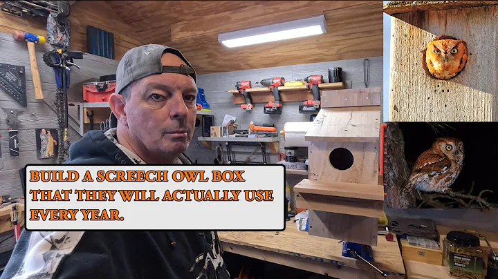 Build a screech owl nesting box they will actually use.