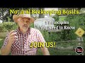 Natural Bee Keeping | Interview with Bee Wrangler Monty Schrunk (Suburban Sodbuster)