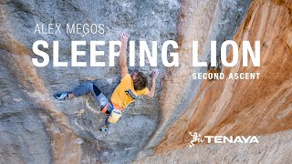 Alex Megos - Sleeping Lion