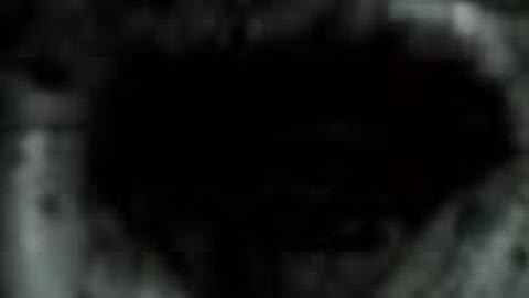 Michael Myers the resistance songs