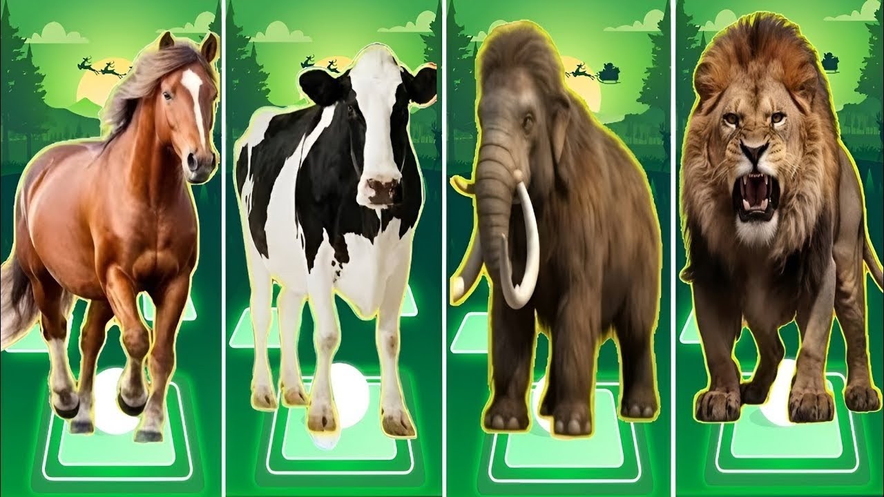 🐄Funny Cow 🆚🐎Funny Horse 🆚🐅Funny Tigers 🆚🐑Funny Sheep 🎶 Coffin Dance Song Tiles Hop EDM Rush
