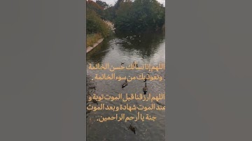 تلاوة تهتز لها القلوب للشيخ سلمان العتيبي