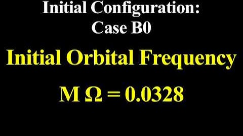 Evolution w/ Poloidal B-Field: Initial Configuration (Black Hole-Neutron Star Mergers: Part II)
