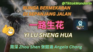 Lagu Mandarin VIRAL!!! Yi Lu Sheng Hua 一路生花 Bunga Bermekaran Di Sepanjang Jalan 周深  & 张韶涵  动态歌词 流行歌曲