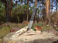 Нож "Байкал" от Кизляр Суприм. Сталь к340. Тест в лесу.