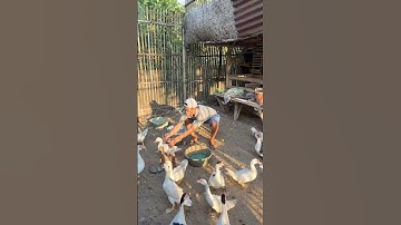 Gara gara sebotol minuman dia jalan sempoyongan