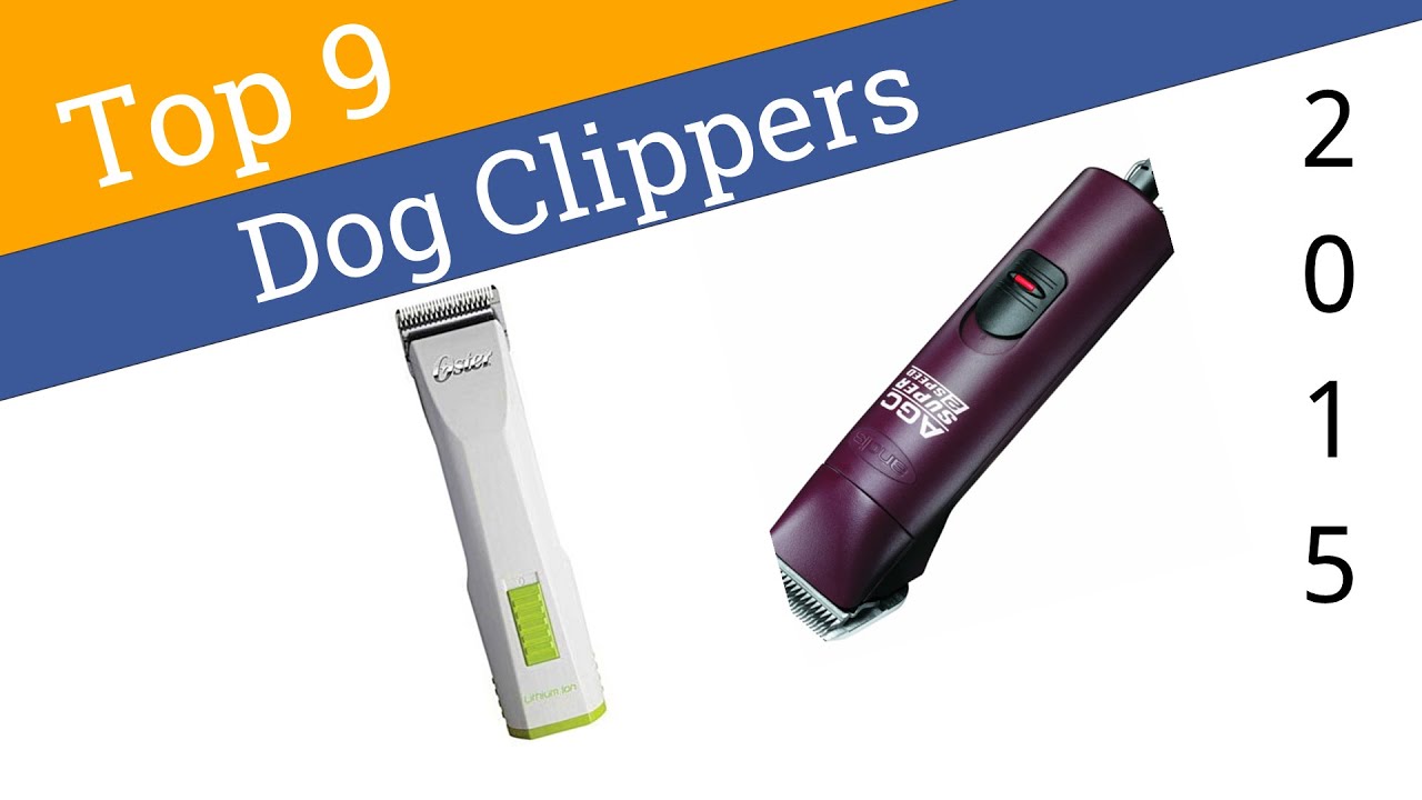9 Best Dog Clippers 2015 - YouTube