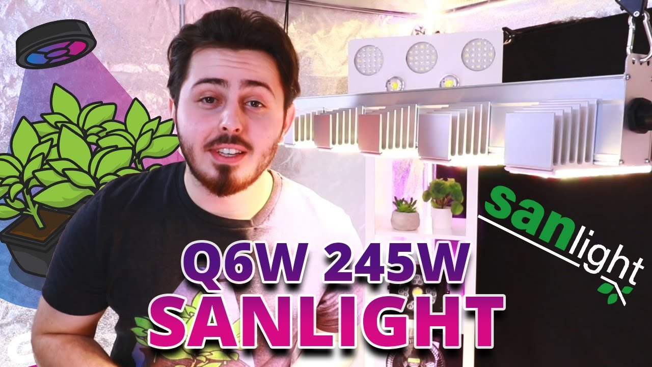 🔥 Présentation de la lampe LED Horticole Q6W 245W de Sanlight pour ta culture en intérieur ! 🌟