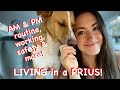Stealth Camping at a Rest Stop:  AM&PM routine, safety, work and more - living in a Prius!