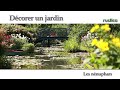 Dcorer un jardin les nnuphars