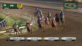 Vidéo de la course PMU PRIX YES