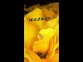 Sneak Preview – Nützlingseinsatz an Zimmerpflanzen