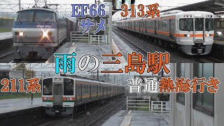 【雨の三島駅】EF66サメ貨物通過と313系・211系普通発車