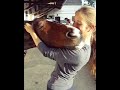 Horse loves getting ears scratched by owner  1010499