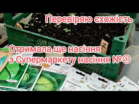 Яка схожість насіння
