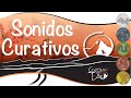 SONIDOS CURATIVOS