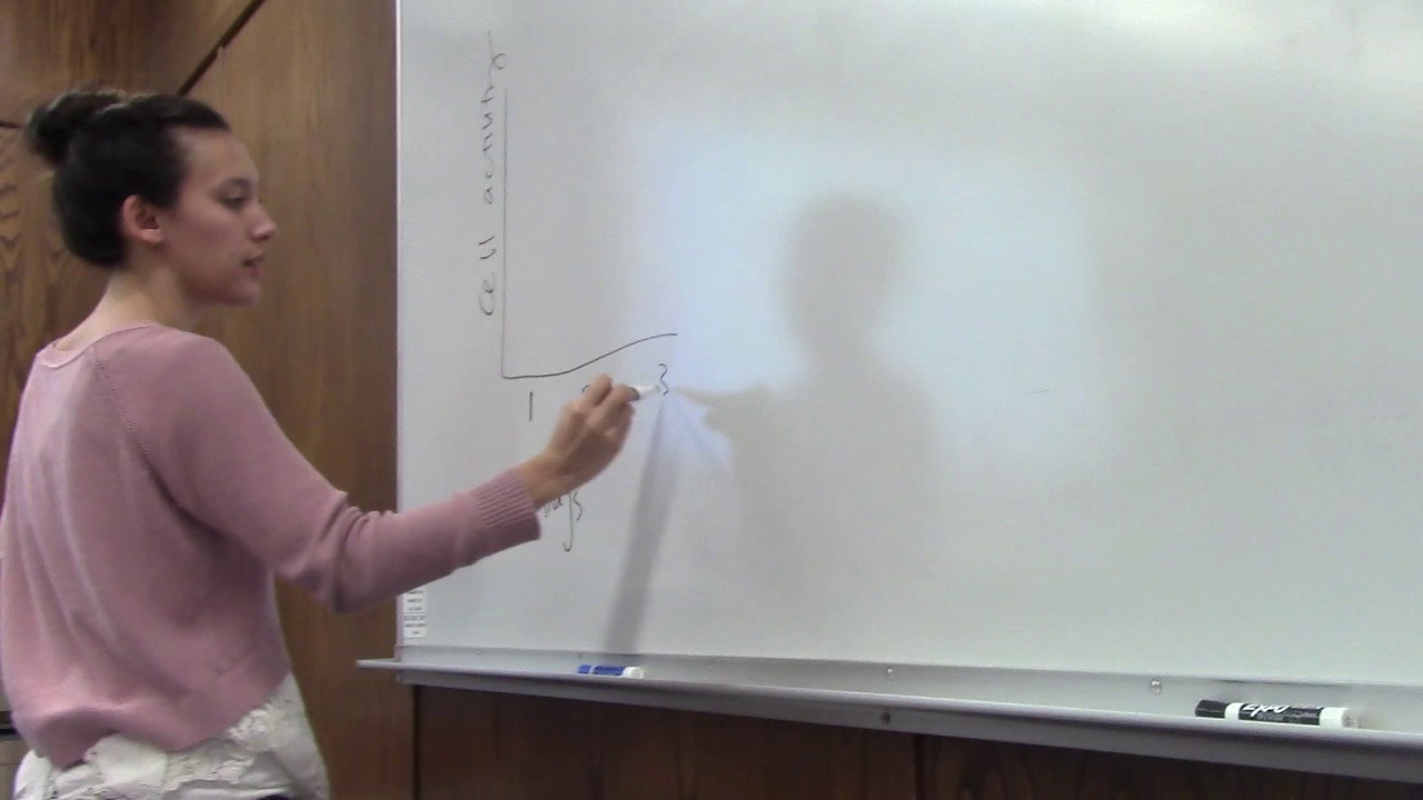 BYU EXSC 320 Athletic Training Exam Review YouTube