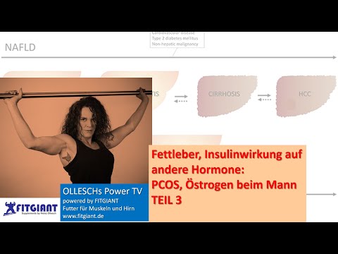 Fettleber, Insulinwirkung auf andere Hormone: PCOS, Östrogen beim Mann. Teil 3 Dr. Martina Ollesch