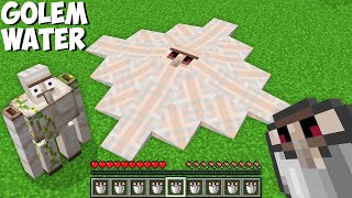 Why did I TURN GOLEM INTO WATER in Minecraft ? SECRET GOLEM LIQUID !