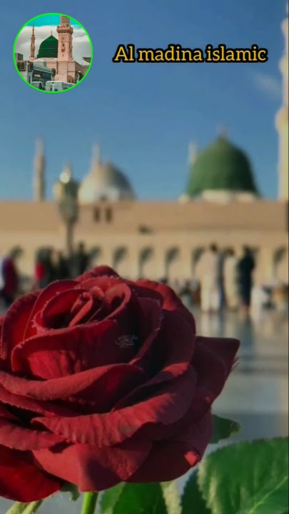 ❤ for islam #remix #dj #allah #love #madinekibaatein #loveallah @MrBeast @TaajEmadina