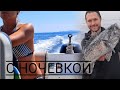 Морские Гребешки, Ракушки, Рыба. Готовим на берегу МОРЯ.