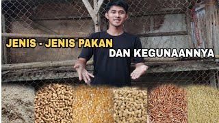 Jenis-jenis pakan ayam dan kegunaannya