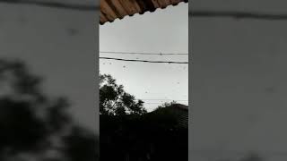 Kota Kujang Mengerang....