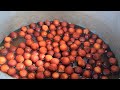 Gulab Jamun Recipe Yummy Gulab Jamun dessert By Our bala for Children nature food stop