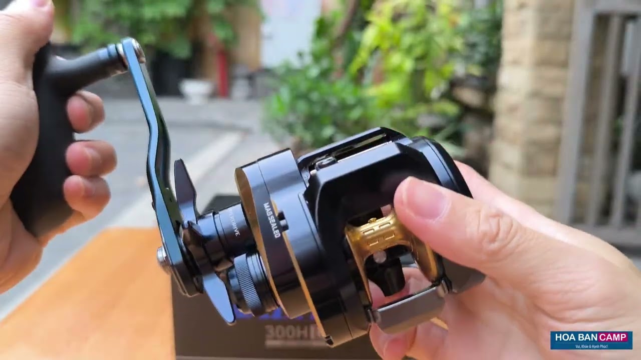 Máy Câu Ngang Daiwa Saltiga 300 | 25