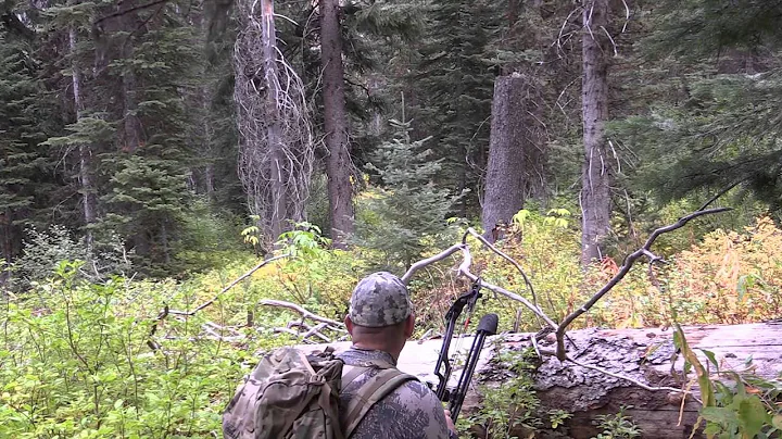 Phelps Idaho Bull 2014