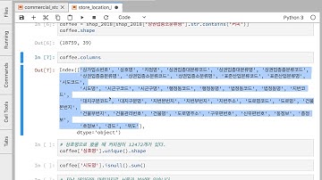 [1/4] 파이썬 Pandas pd.read_csv로 파일 불러오기, shape로 요약보기, str.contains 로 특정 상호가져오기