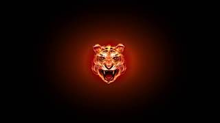 Логотип Огненный тигр