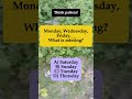 📅 Monday, Wednesday, Friday, __ – What’s Missing? #shorts #math #iqvistax #riddle