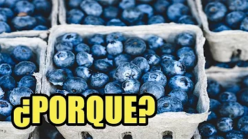 ¿Qué fruta es azul?