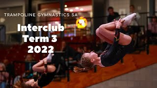 Trampoline Gymnastics SA Interclub Term 3 2022 Level 4