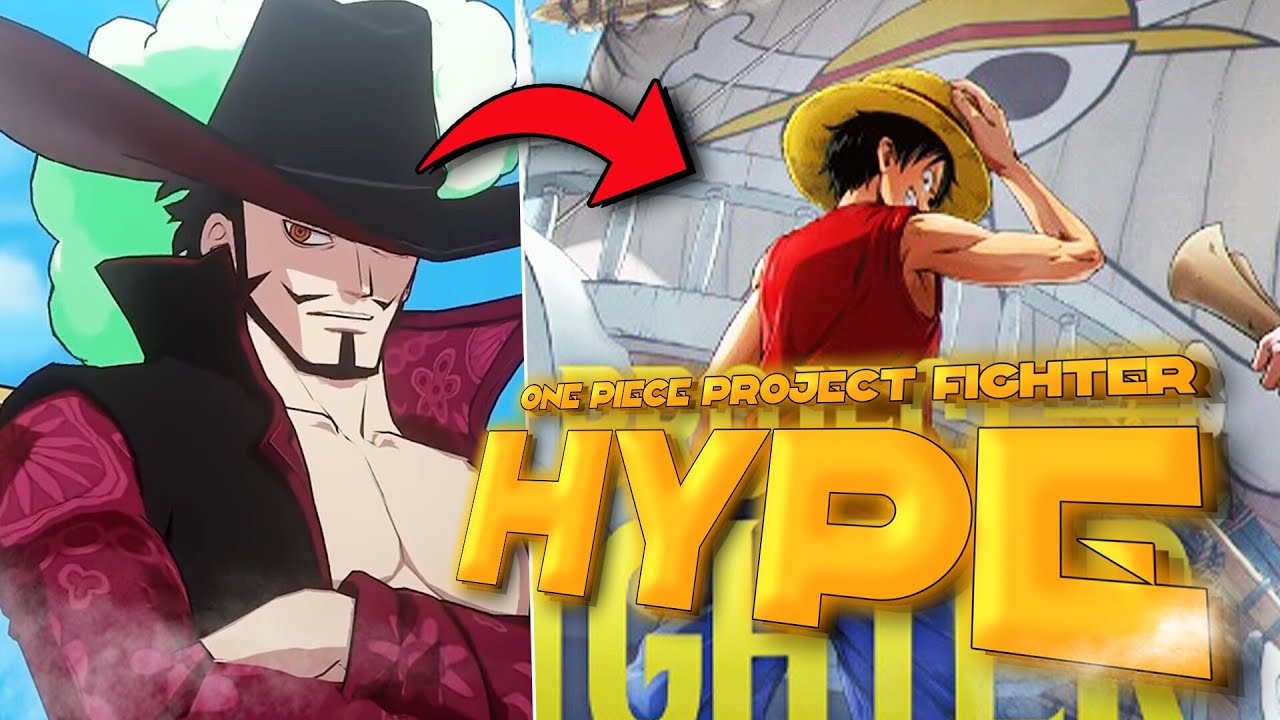 ONE PIECE PROJECT FIGHTER HYPE UPDATE!!!!! (also One Piece Dream