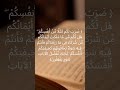سورة الروم الآية 28 القرآن الكريم فارس عباد Shorts Viral Reels Foryou 
