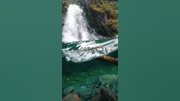 واتس اب قران كريم القارئ ياسر دوسري (سوره طه)