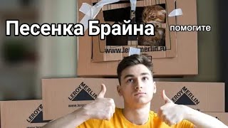 Вся песенка Брайна) построил гигантский домик для своего кота Вся песенка Брайна) построил гигантский домик для своего кота