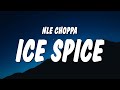 NLE Choppa - Ice Spice (Lyrics)