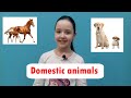 Домашние животные на английском языке. Domestic animals and their kids.