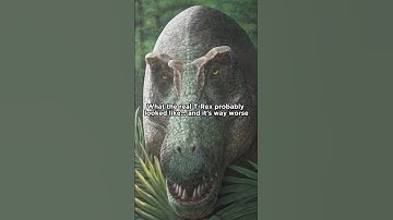 The real T. Rex was worse...