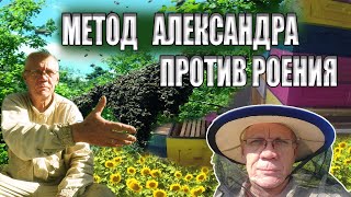 Борьба с роением пчел Метод Александра для поздних взятков