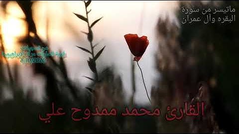 القارئ محمد ممدوح علي 💚 ماتيسر من سورة البقرة وآل عمران من قرية الحلوات 8/10/2020