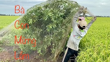 Tiêu Diệt Được “CON NÀY” Người Dân Mừng Vui Lắm • Những Ngày Giãn Cách