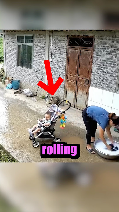 DOG DOES SOMETHING INCREDIBLE! 🥹 #shorts
