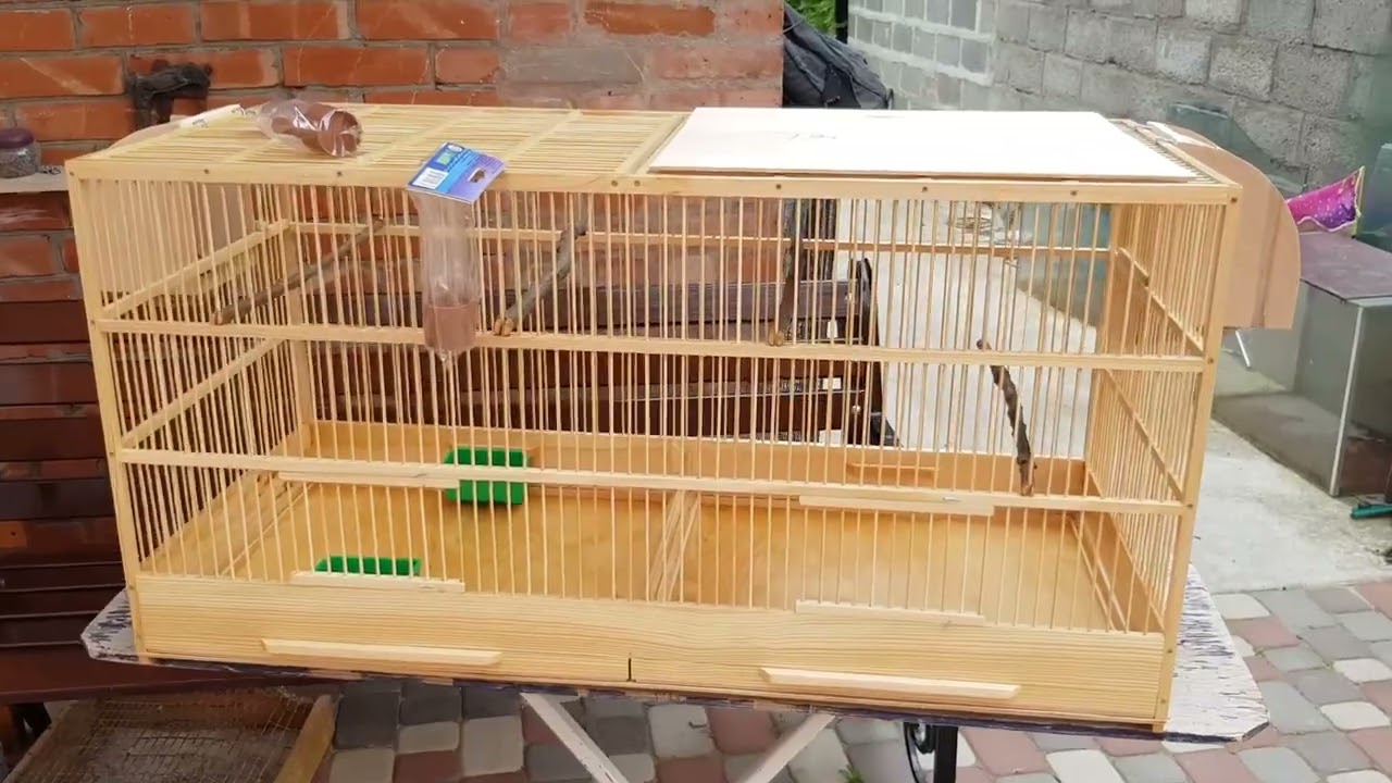 Клетка деревянная для канареек. Обзор клетки с перегородкой!