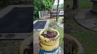 Uvongo River Resort